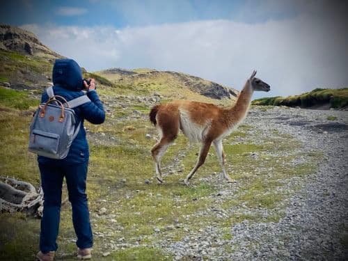 vivFR CCAR 77474 - Travel Report