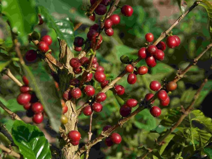 Première partie de la journée 