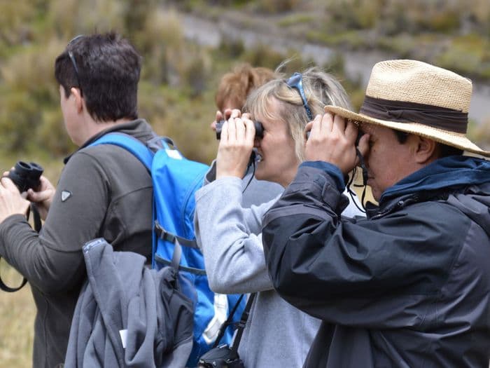 Vogelbeobachtung am Rande der 