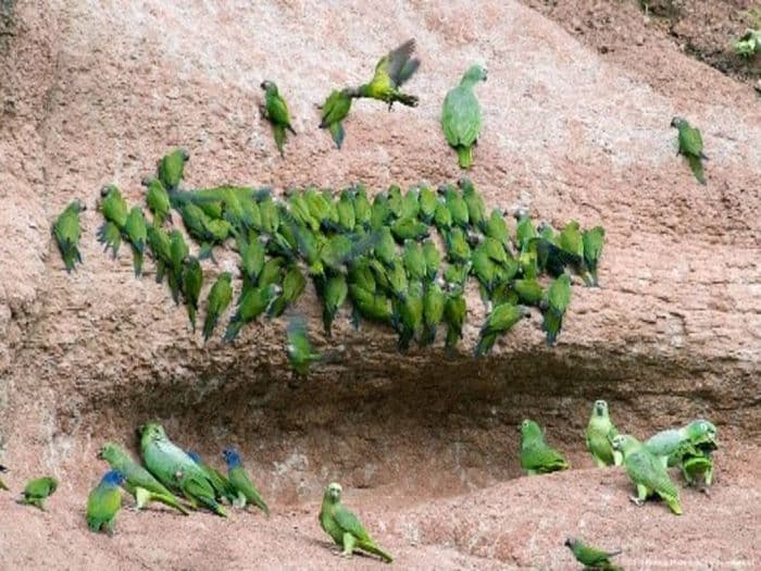 Sani Lodge 3D2N Standard