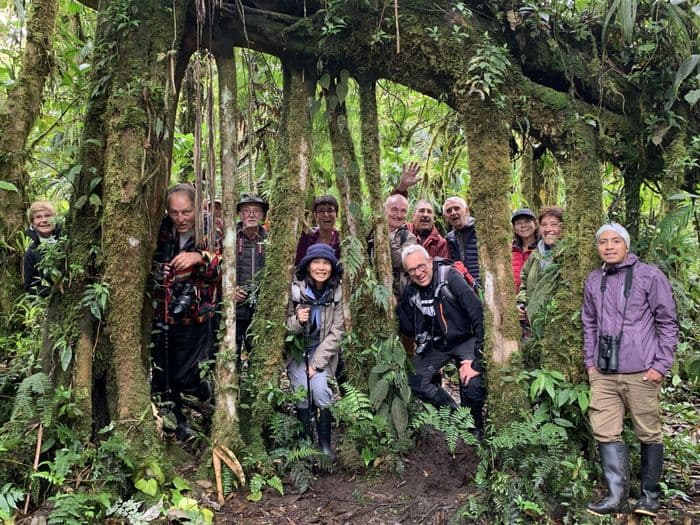 Une petite promenade dans la f