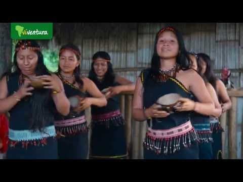 Testimonial VIV DE ECU GPS