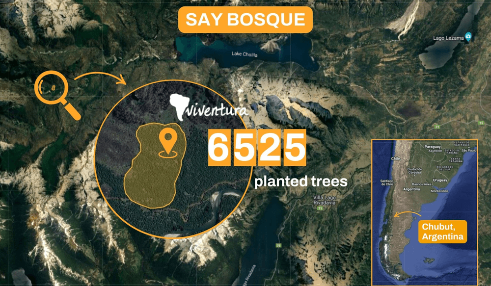 VIV 04.25 Tree Planting Map
