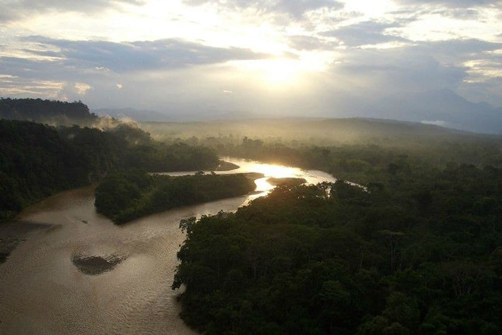 Fantastischer Blick auf das Amazonasgebiet beim Sonnenuntergang.