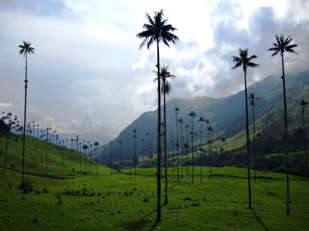 Kolumbien Sehenswürdigkeiten: Das Corora-Tal. Quelle: Viventura.