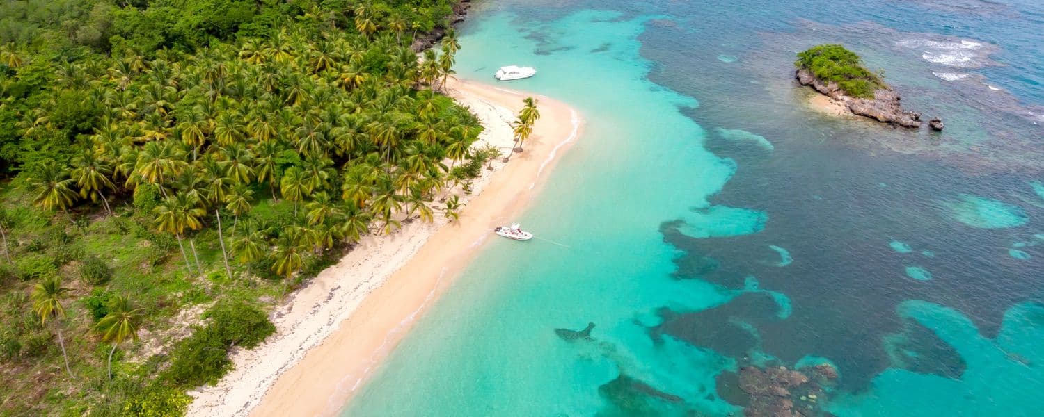 Dominican Republic  Aerial View of Green Trees Beside Body of Water