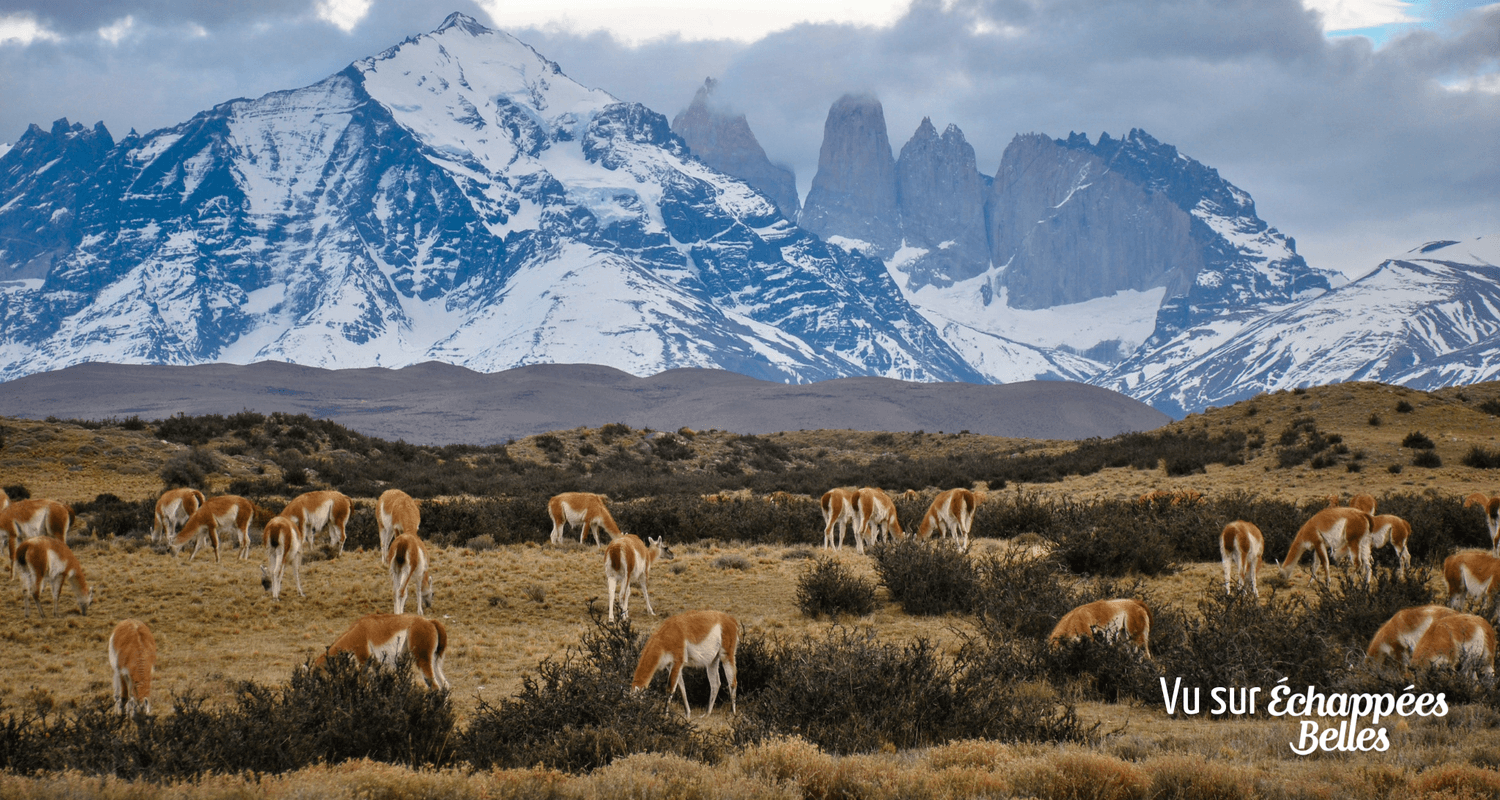 Patagonia-echappees-belles