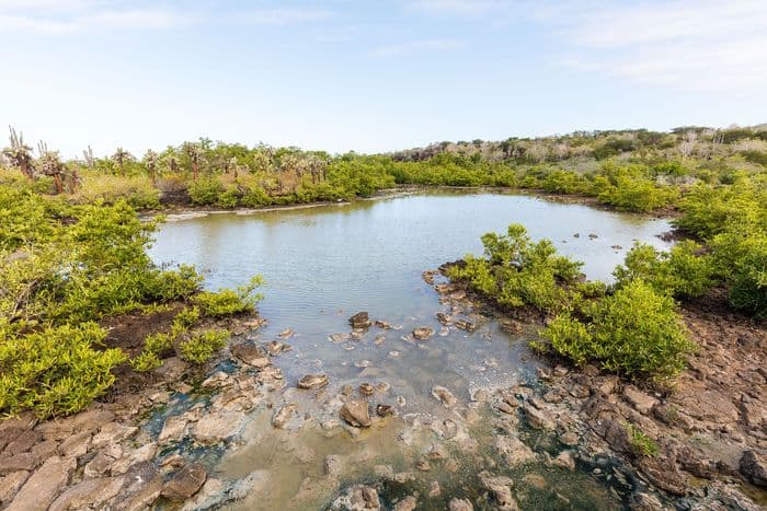 Las Grietas; Santa Cruz, Galapagos