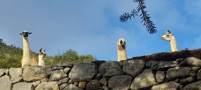 cper  77937 15/04/2023