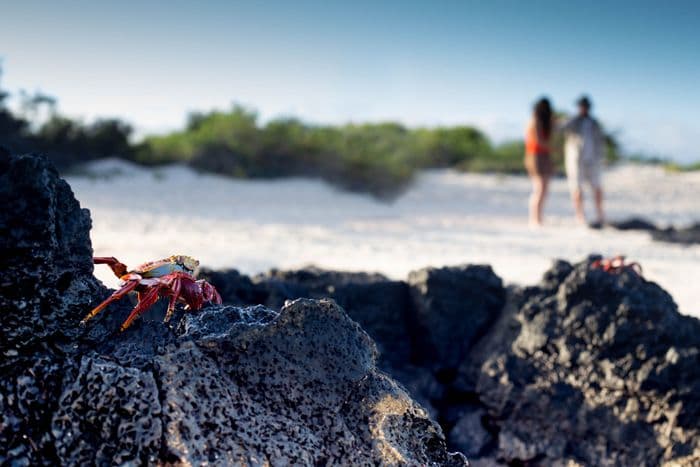 Natural Paradise Galapagos Cruise
