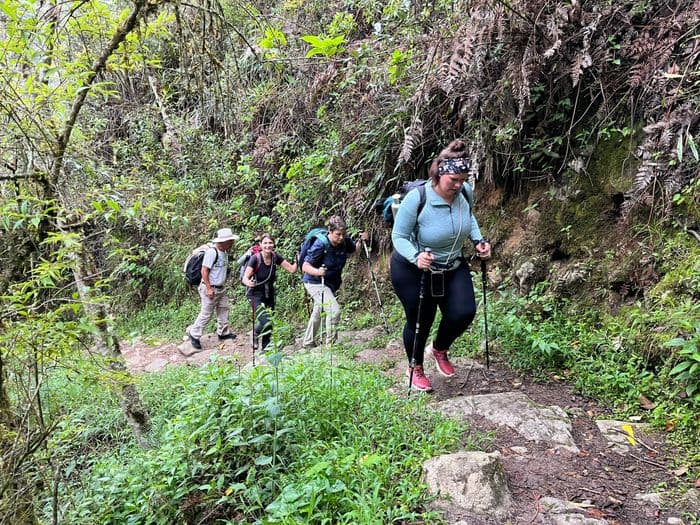 Inca trail.